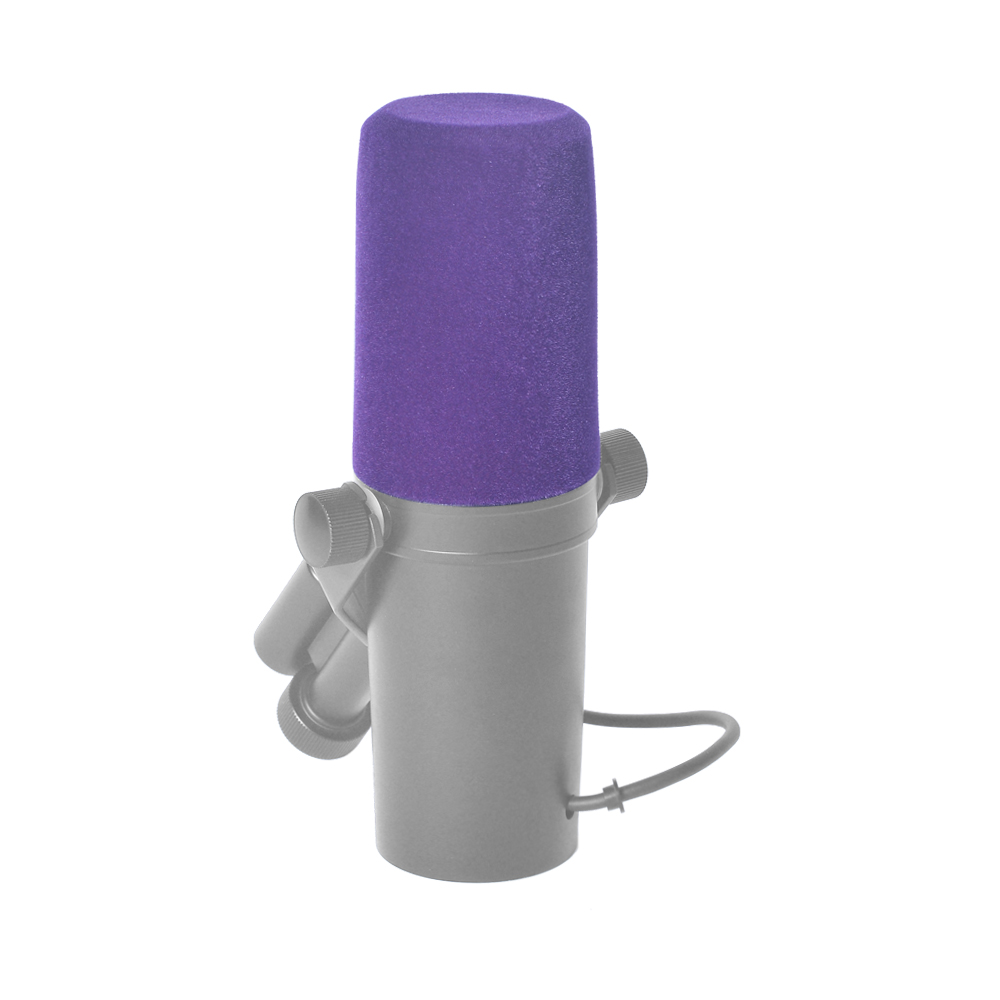 ฟองน้ำครอบไมโครโฟนแบบมืออาชีพ  - Shure Mic Sm7B บทวิจารณ์และราคา